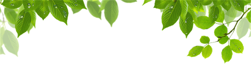 1511003731770311.png 1.png
