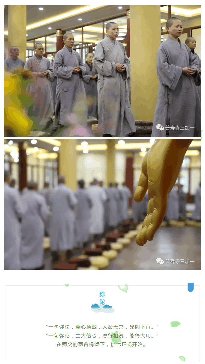3.gif