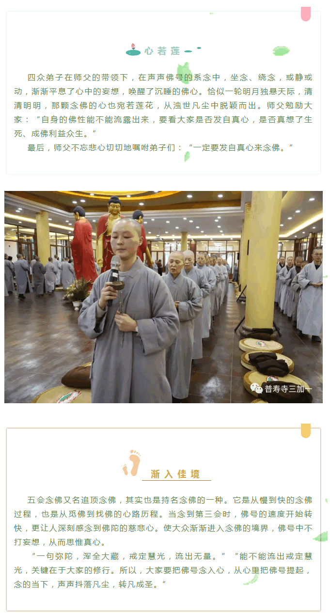 5.gif