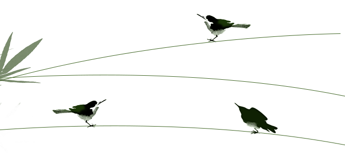 1715574531103074.png 2024.5.13.png