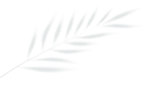 2024.8.28-1.gif