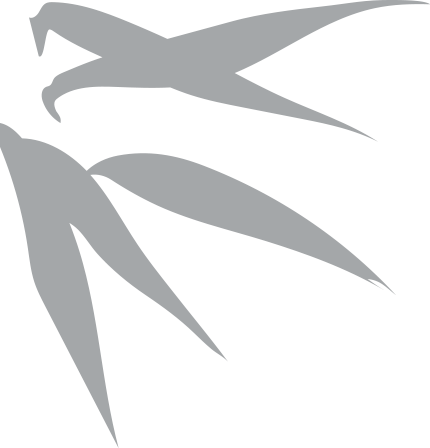 2024.9.10-3.png
