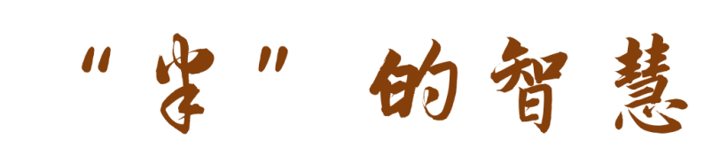 1726882254139470.png 2024.9.21-3.png