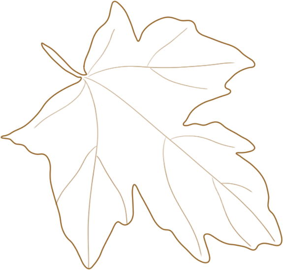 1726882331128643.png 2024.9.21-4.png