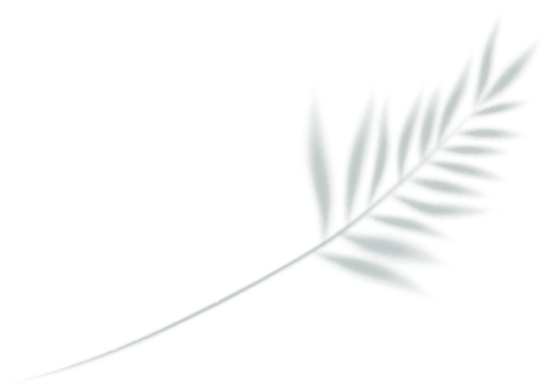 2024.10.21-2.png