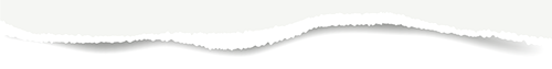 1730936890279319.png 2024.11.7-4.png