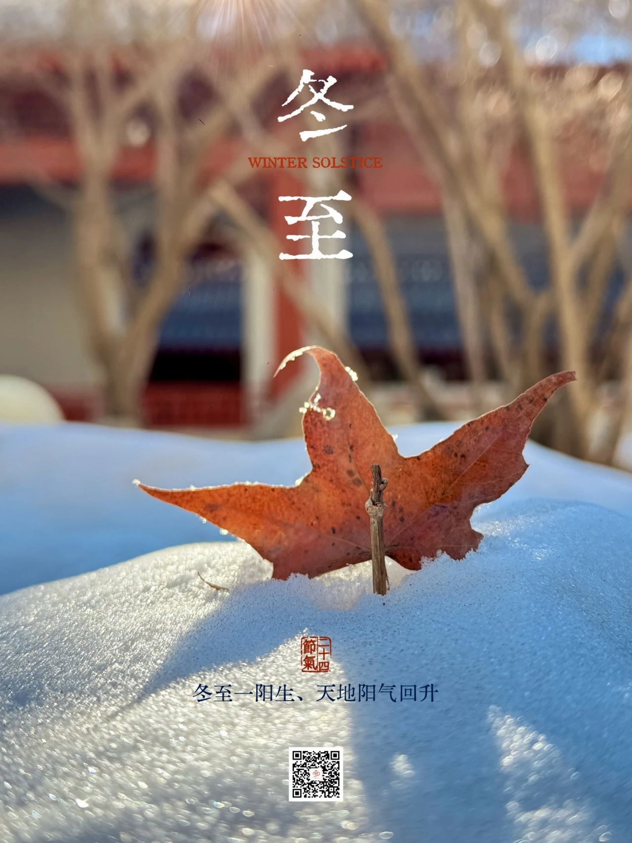 2024.12.21.jpg